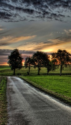 закат, трава, дорога, деревья