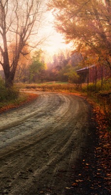 осень в деревне