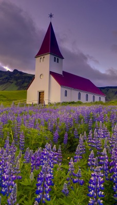 природа поле горы трава цветы архитектура nature field mountains grass flowers architecture