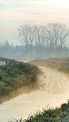 туман над речкой