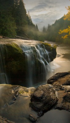 маленький водопад в лесу