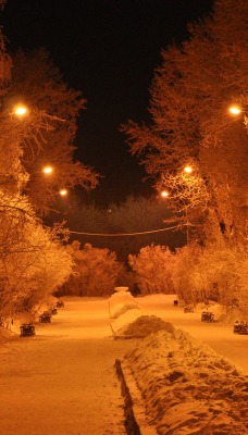 свет от фонарей в зиму