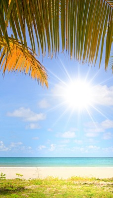солнце, море, пляж, пальмы
