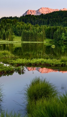 зеленая растительность, вода, горы