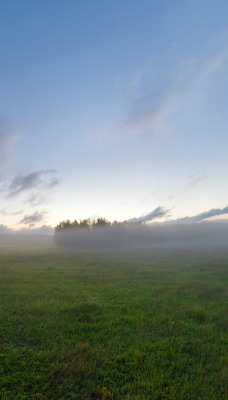 туман над степью