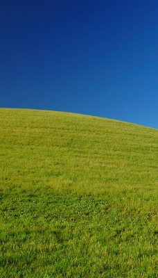 Зеленый травяной холм