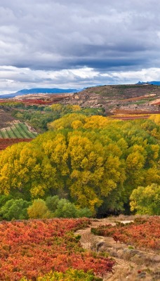 Поля,река,холм