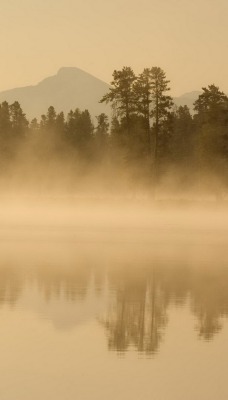 туман над озером