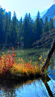 Нетронутая природа озеро лес