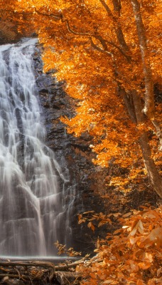 водопад лес осень