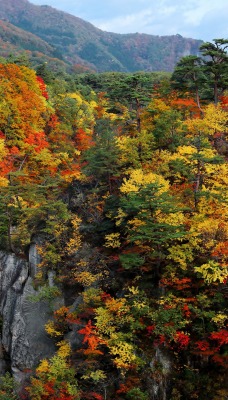 Осень краски осени водопад