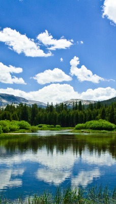 озеро небо облака вода природа лес деревья трава кусты горы