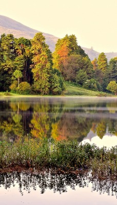 Озеро деревья