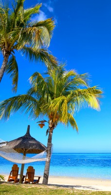 пальмы гамак пляж море