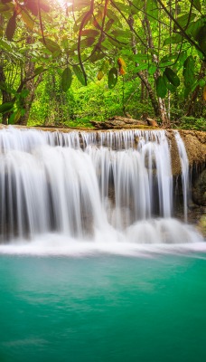 Водопад природа вода деревья