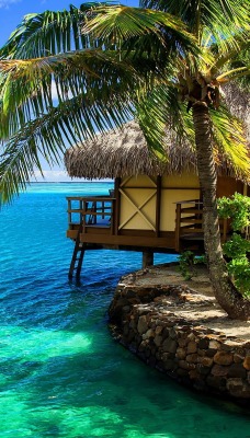природа море курорт пальма дом