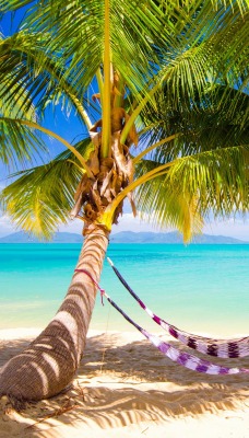 Гамак пальмы пляж море