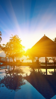 природа бассейн рассвет солнце пальмы отдых