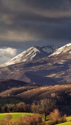 Горы поле деревья трава облака небо природа