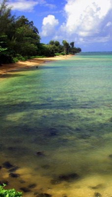 Море вода деревья облака