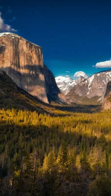 Природа лес деревья скалы облака