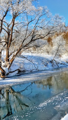 природа река отражение зима снег деревья лес