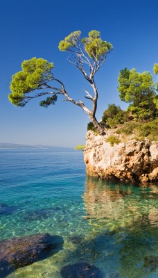 природа камень море деревья Брела Хорватия