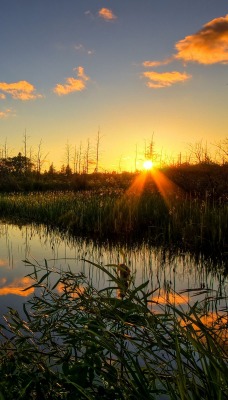 природа озеро солнце закат деревья
