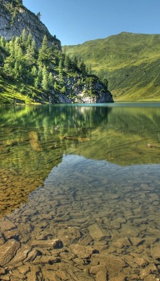зелень лето озеро