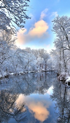 Речка зима снег иней лес деревья