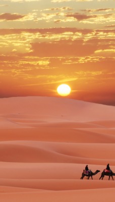 Пустыня дюны барханы караван верблюды