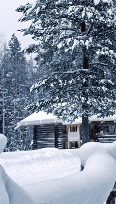 Снег зима домик в лесу