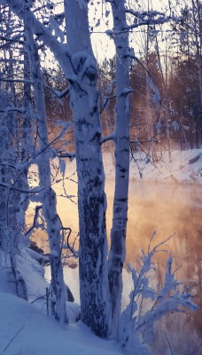 природа деревья березы снег река