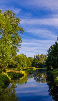 природа деревья река