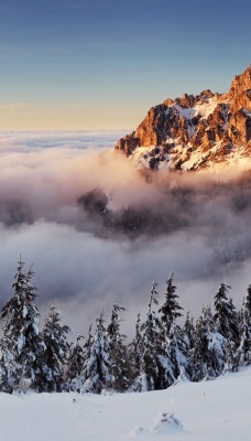 природа горы снег деревья зима облака