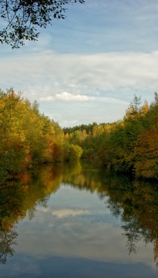 природа река деревья