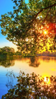 природа река деревья солнце