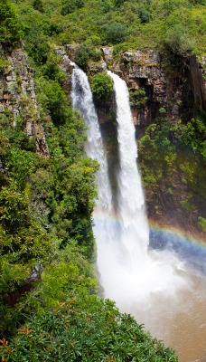 природа водопад деревья радуга