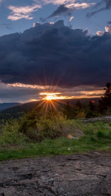 природа облака деревья трава солнце река небо