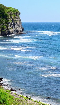 природа море скалы трава горизонт nature sea rock grass horizon