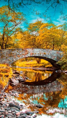 природа мост осень деревья листья река nature the bridge autumn trees leaves river