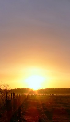 природа закат поле солнце nature sunset field the sun