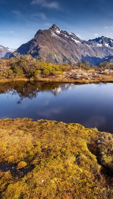 природа река горы скал деревья трава nature river mountains rocks trees grass