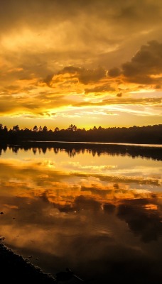 природа озеро деревья облака отражение nature the lake trees clouds reflection