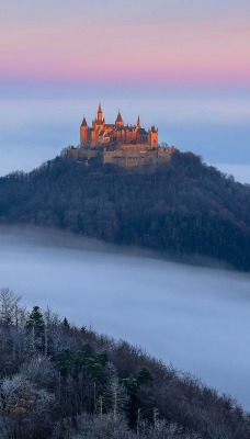 природа деревья туман замок Германия nature trees fog castle Germany