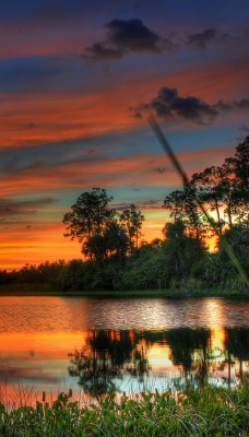 природа озеро деревья небо облака закат nature the lake trees sky clouds sunset