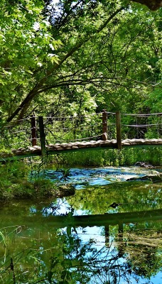 природа мост река деревья nature the bridge river trees