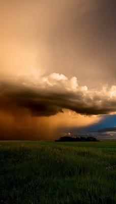 природа облака поле трава nature clouds field grass