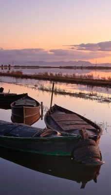 природа лодка река горизонт nature boat river horizon