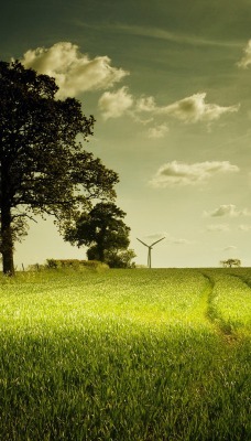 природа поле трава деревья облака небо nature field grass trees clouds the sky